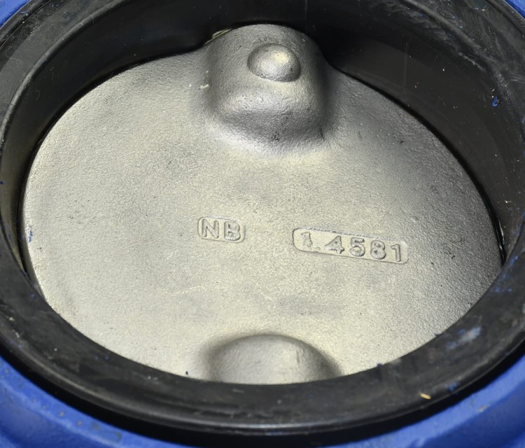 DSC_8529.JPG