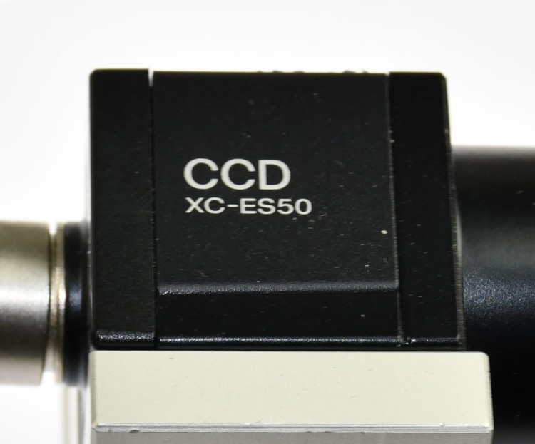 DSC_6334.JPG