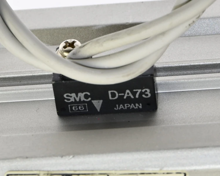 DSC_7304.JPG