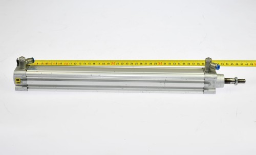DSC_1910.JPG