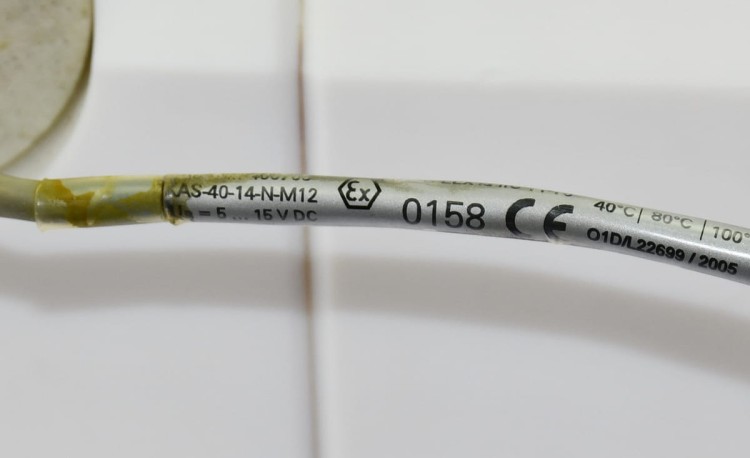 DSC_8534.JPG