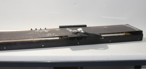 DSC_9765.JPG