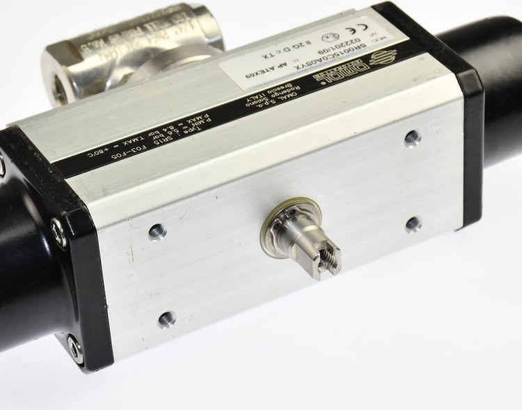 DSC_4591.JPG