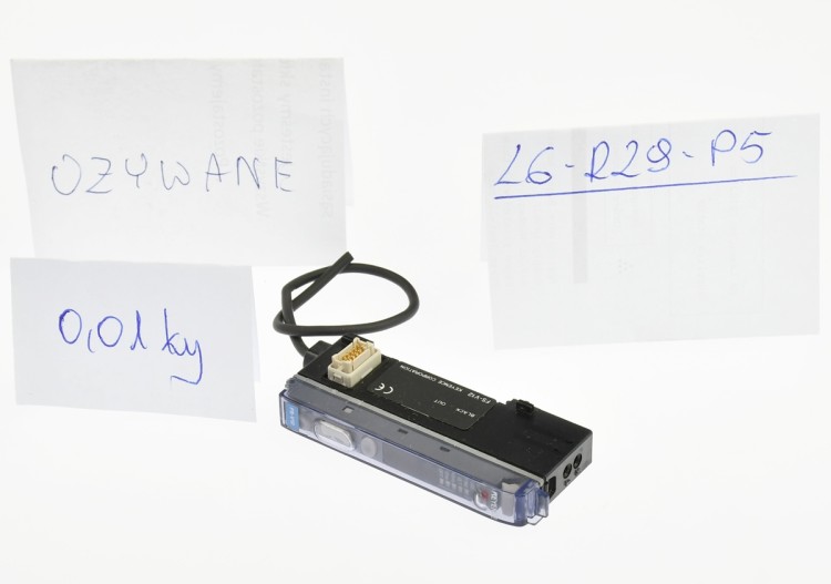 DSC_7658.JPG
