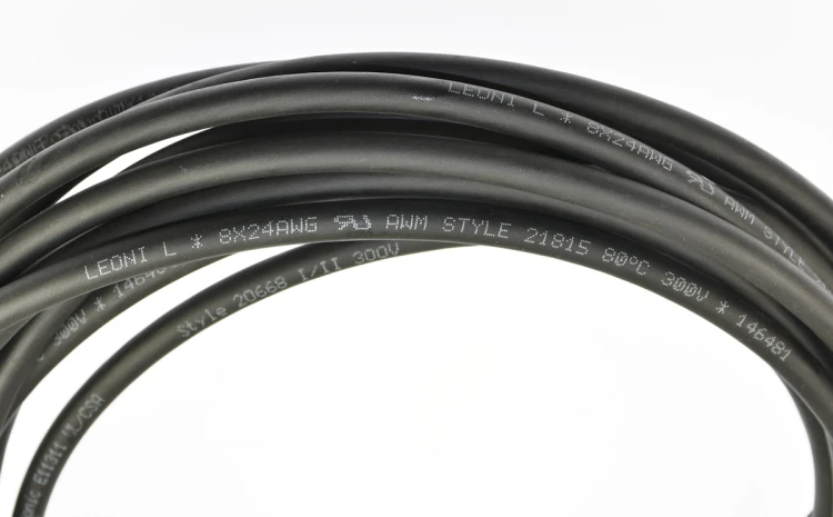 DSC_6725.JPG