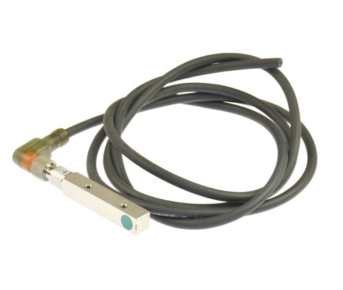 DSC_9979.JPG