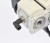 DSC_2668.JPG