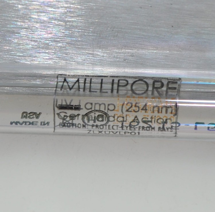 DSC_0622 - Kopia.JPG