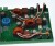 DSC_0192.JPG