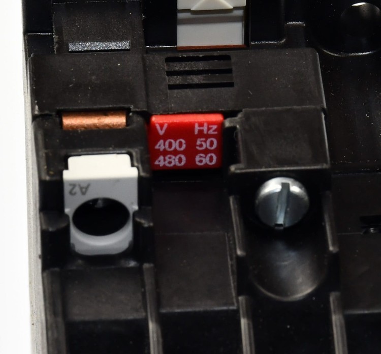 DSC_7556.JPG