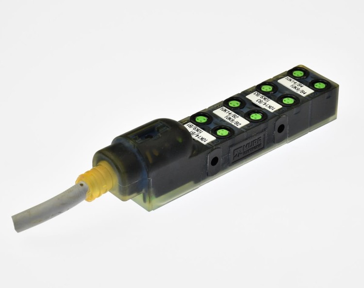 DSC_5956.JPG